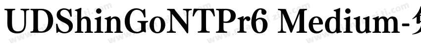 UDShinGoNTPr6 Medium字体转换